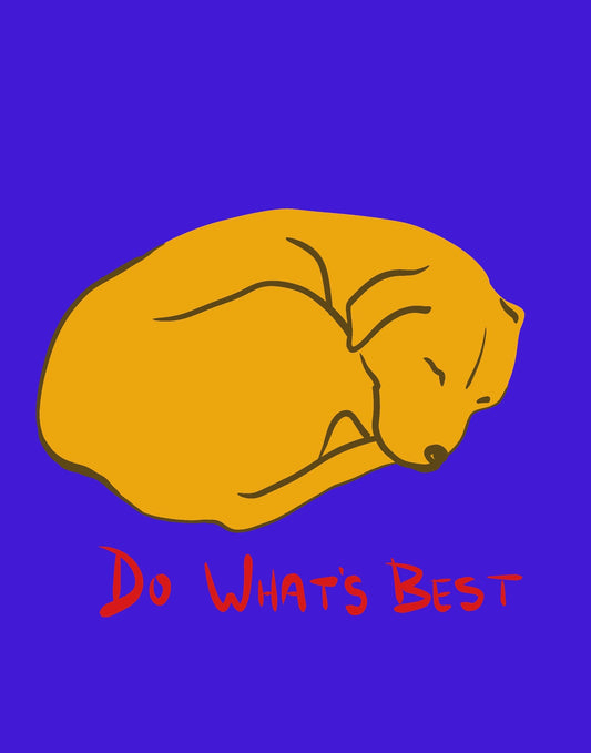 Do What's Best Raglan