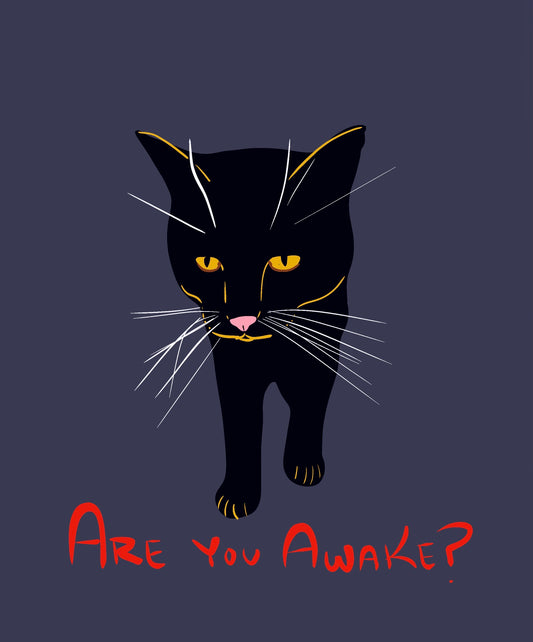 Are You Awake? Raglan — Black Cat