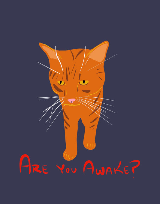 Are You Awake? Raglan — Orange Cat